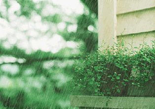 下雨天展示图.gif